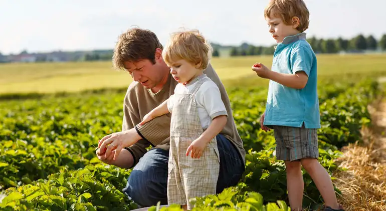 The Future of Farming, Smart Irrigation Solutions