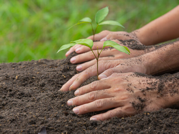 The Future of Farming, Smart Irrigation Solutions